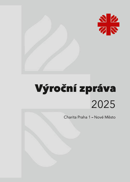 výroční zpráva 2025